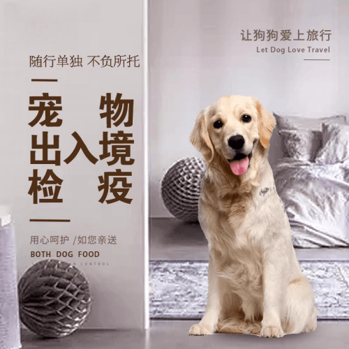 福州市宠物托运到哥伦比亚猫狗宠物入境规定和