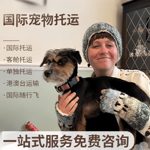 福州市国际宠物托运到阿根廷宠物入境规定和要