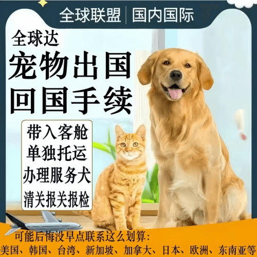福州市宠物托运到柬埔寨宠物入境规定和要求