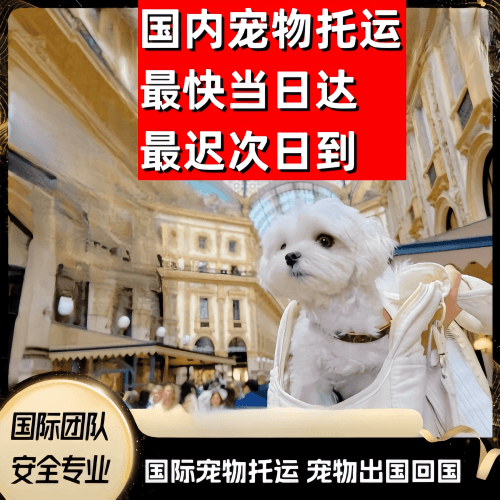 福州市到澳大利亚（澳洲）宠物入境规定和要求