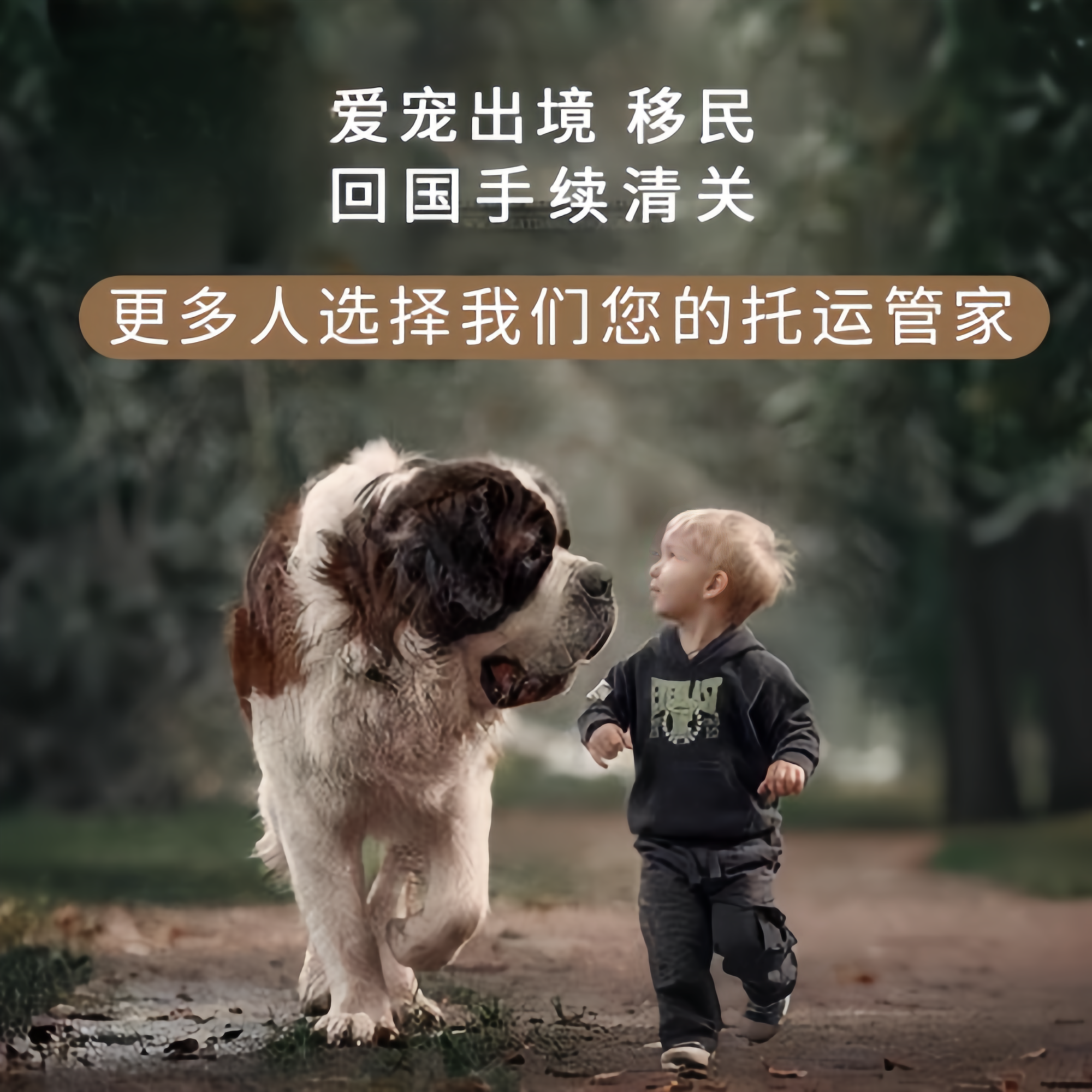 满财福州市宠物全球达宠物托运在遵守入境目的地政策的条件