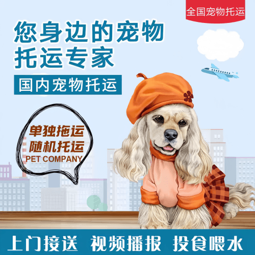 满财福州市宠物全球达宠物托运作为专业的宠物运输代理机构